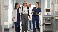 Greys Anatomy
